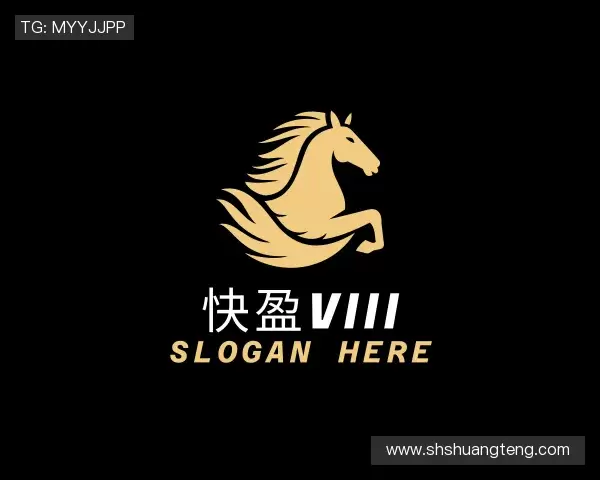 解读快盈VIII